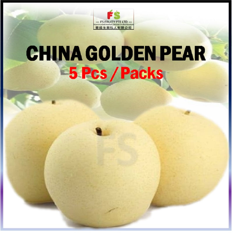 China Golden Pear Big 36 Pcs Per Ctn 黄金梨 Fs Fruity Pte Ltd 