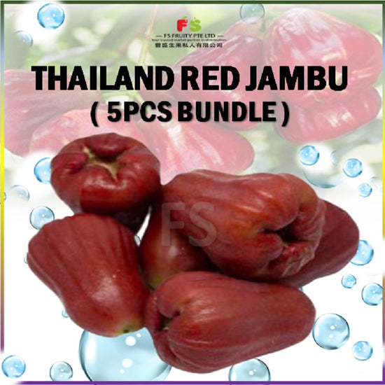 Thai Red Jambo , 5 pcs / Bundle  泰国水翁