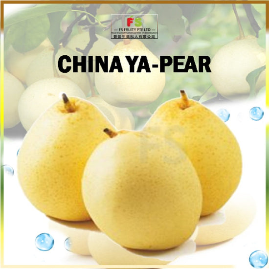 China Ya Pear (pcs ) | 70-75pcs per ctn 鸭梨