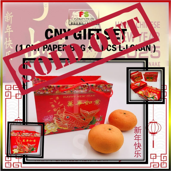 Unpacked CNY L-size Lokan 2pcs+Paper Carrier | 10sets(Bundle)