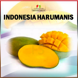 Indonesia Harumanis Mango (10PCS /Bundle )