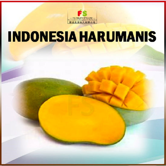 Indonesia Harumanis Mango (10PCS /Bundle )